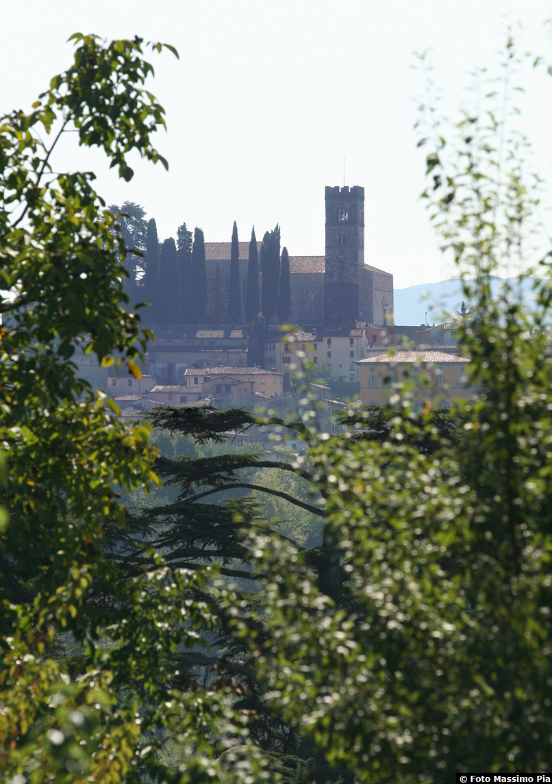 Duomo di Barga - Centro Storico - Vista da I Cedri 